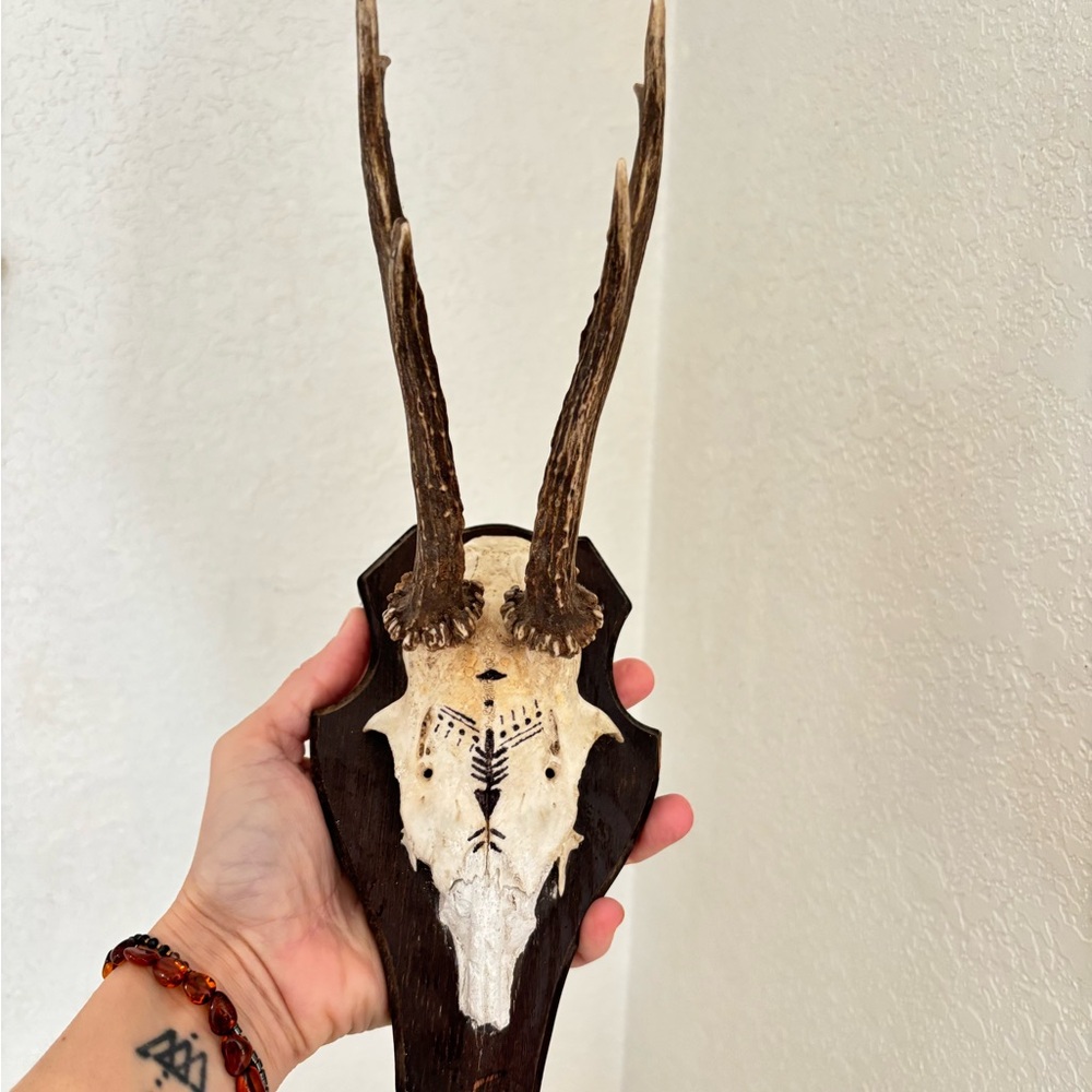 German Vintage Antler Wall Decor